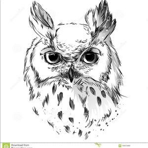 Meet your Posher, Clovis